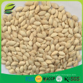 EU standard EUROFINS certified snow white pumpkin seeds